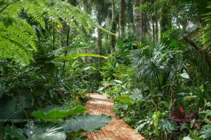 La Veranda Resort, Phú Quốc — bảo trì cảnh quan định kỳ giữ nguyên vẻ đẹp công trình theo thời gian — Silver Cloud Landscape